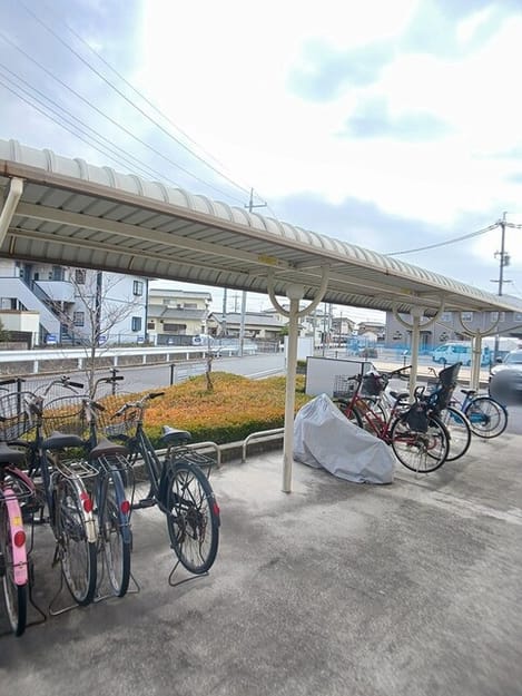 Naikan11 20260216000000