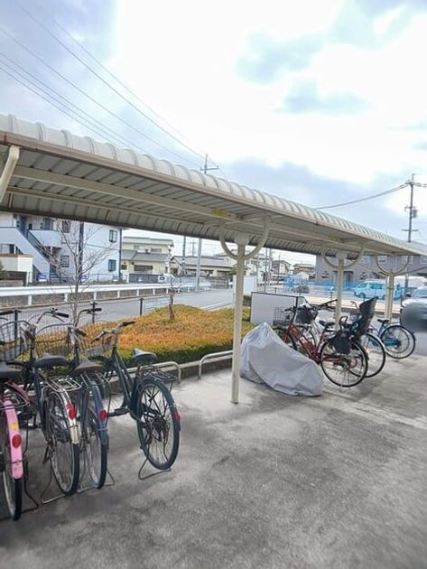 Naikan11 20260216000000 945x630