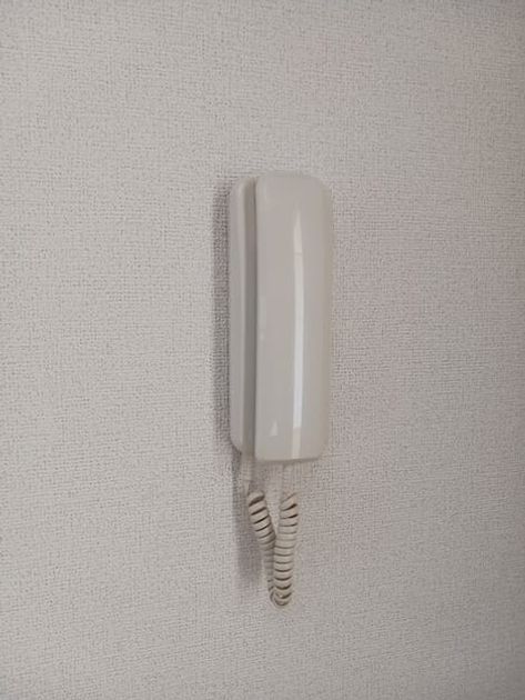 Naikan12 20260205000000 945x630