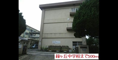 Naikan17 20141225000000