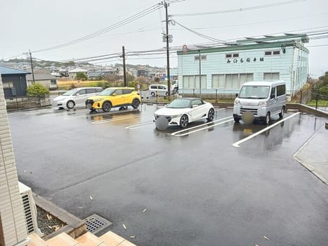 Naikan11 20260306000000