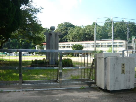 Naikan16 20200810000000