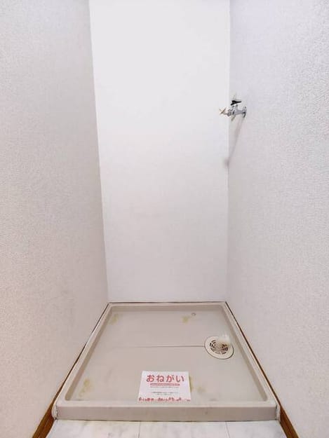 Naikan5 20260604000000