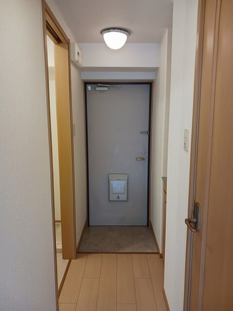 Naikan7 20260529000000