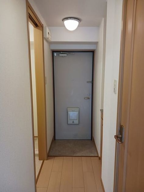 Naikan7 20260529000000 945x630