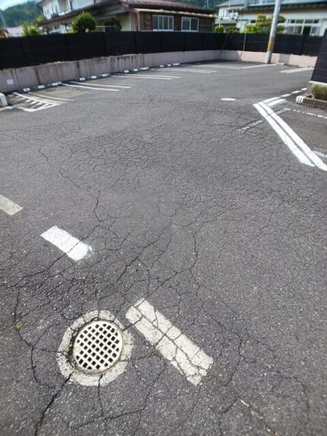 Naikan11 20260519000000 945x630