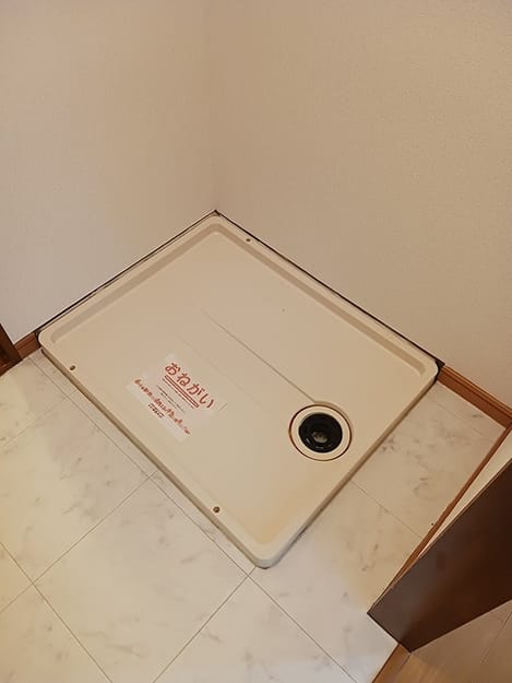 Naikan9 20260604000000