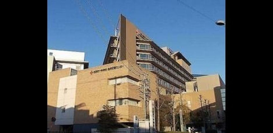 Naikan17 20250312000000 945x630
