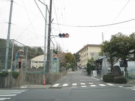 Naikan13 20260205000000