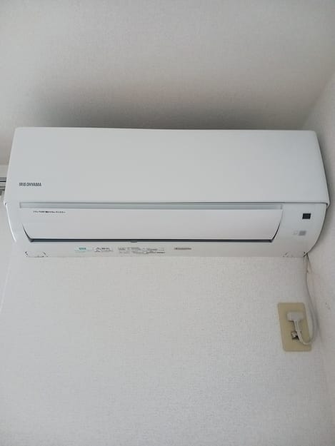 Naikan12 20260615000000