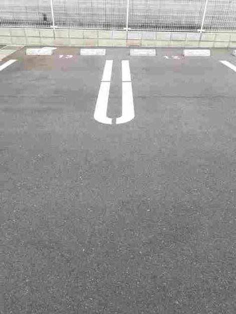 Naikan11 20260602000000 945x630