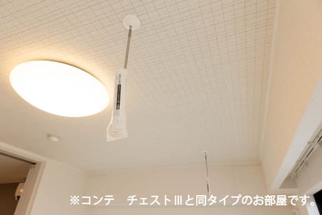 Naikan11 20260422000000