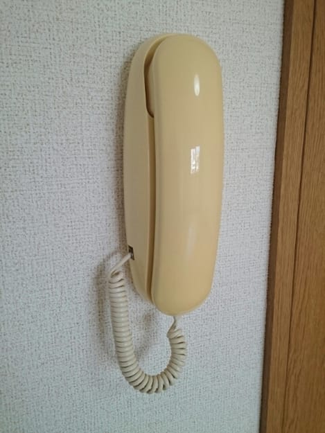 Naikan11 20200721000000