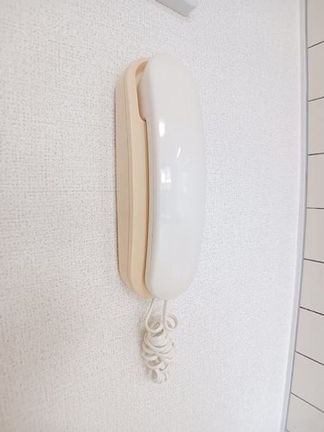 Naikan8 20260624000000 945x630
