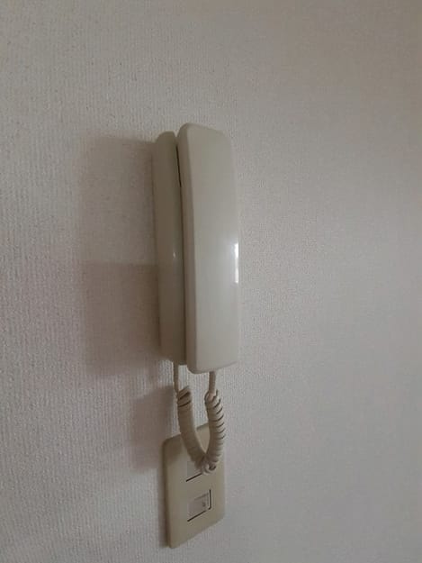 Naikan6 20260611000000