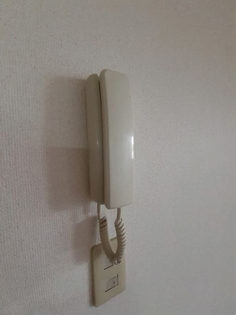 Naikan6 20260611000000 945x630