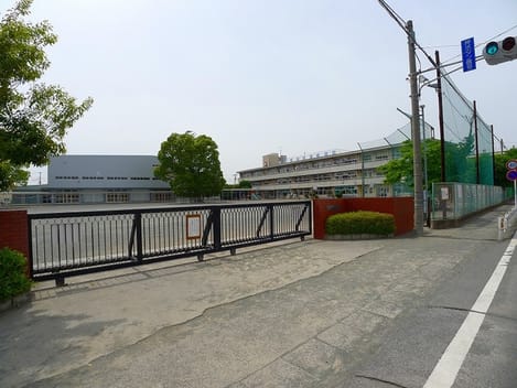 Naikan13 20200207000000