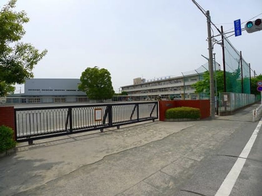 Naikan13 20200207000000 945x630