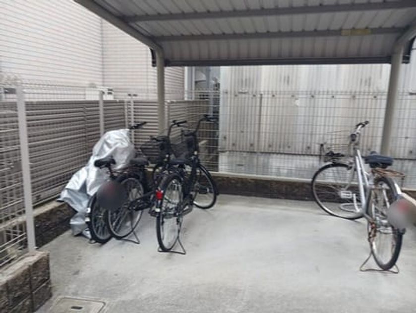 Naikan11 20250228000000 945x630