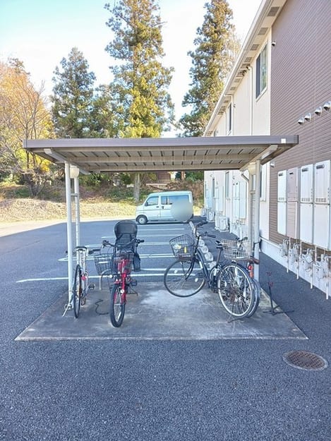 Naikan11 20241223000000