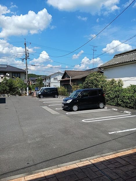 Naikan11 20260818000000