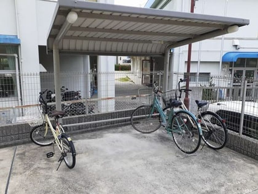 Naikan11 20250512000000 945x630