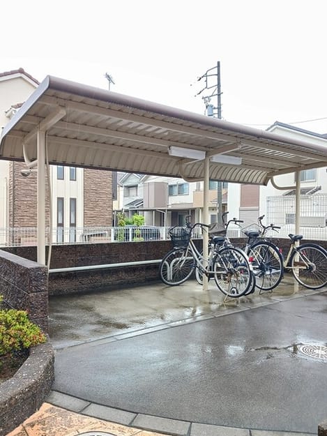 Naikan8 20250611000000