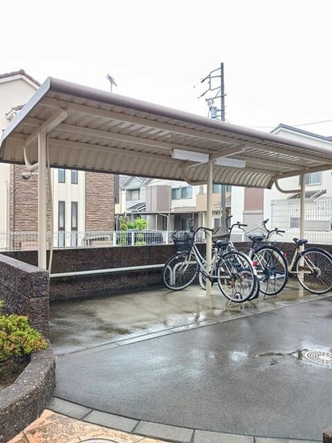 Naikan8 20250611000000 945x630