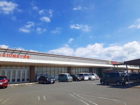 Naikan13 20250604000000