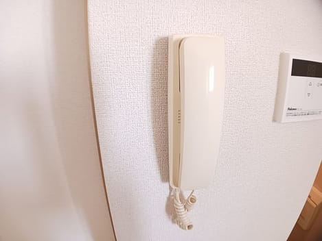Naikan9 20241121000000