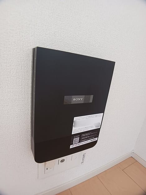 Naikan11 20260819000000