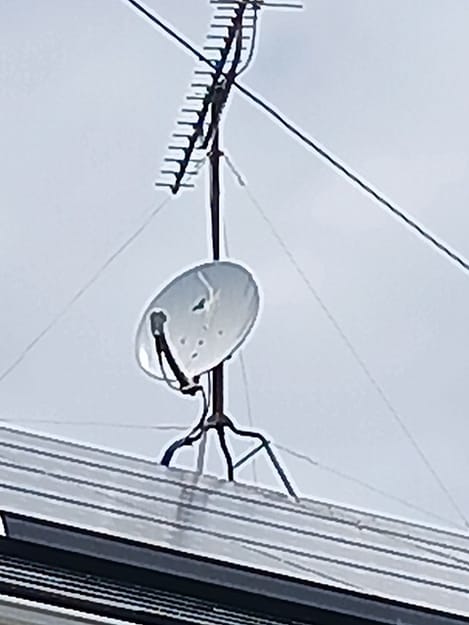 Naikan11 20260615000000
