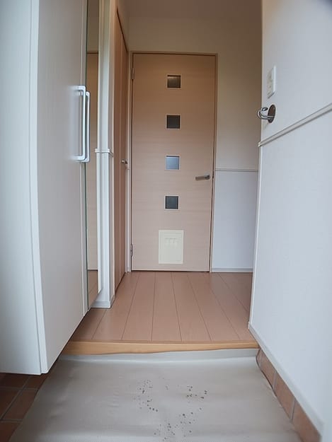 Naikan7 20260904000000