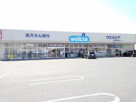 Naikan17 20240305000000