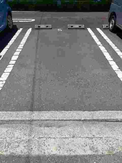Naikan11 20210726000000