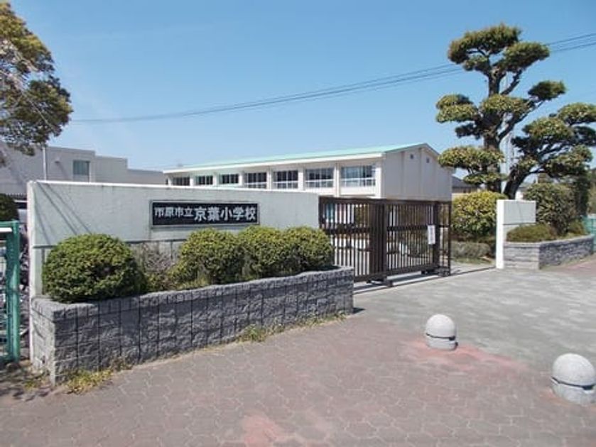 Naikan8 20210511000000 945x630
