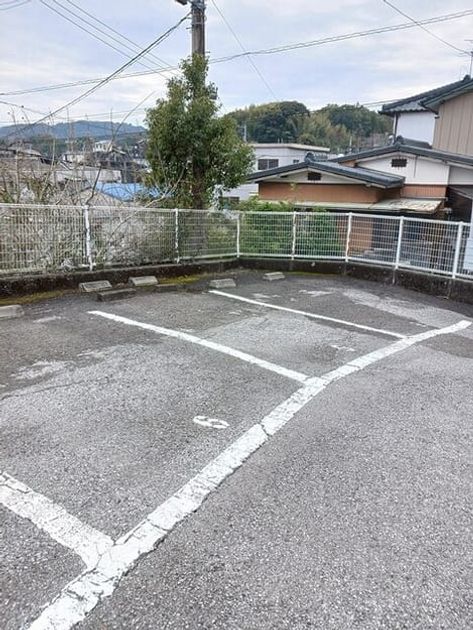 Naikan11 20250313000000 945x630