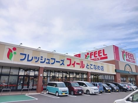 Naikan13 20250312000000