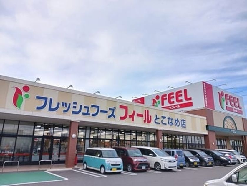 Naikan13 20250312000000 945x630