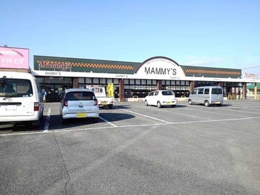 Naikan18 20250127000000 945x630