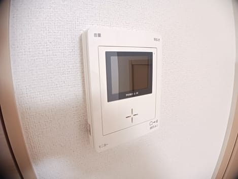 Naikan11 20250124000000