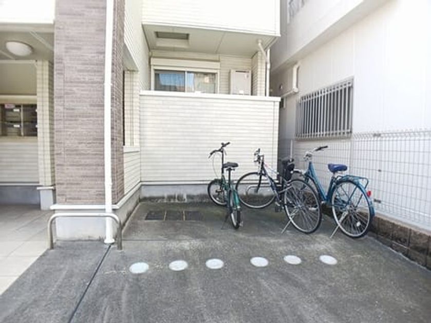 Naikan11 20261001000000 945x630