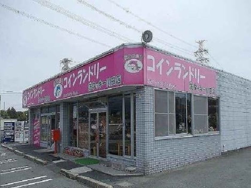 Naikan14 20200405000000 945x630