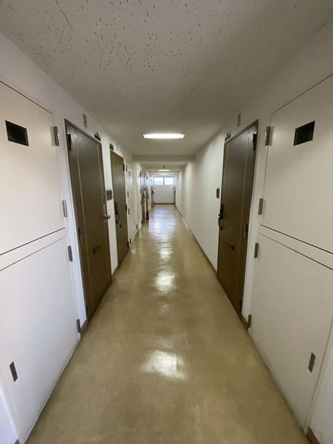 Naikan22 20250606155845 945x630