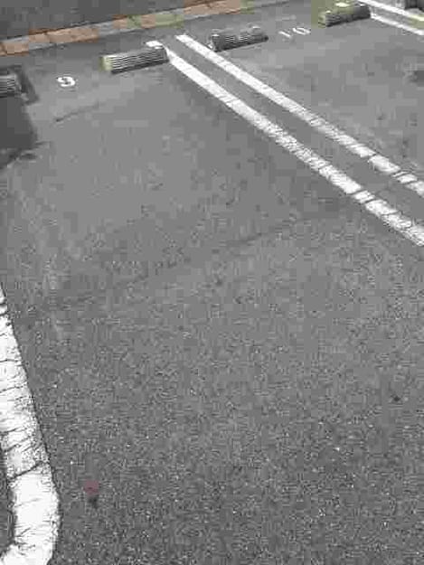 Naikan9 20210718000000
