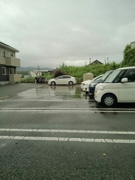 Naikan10 20200707000000 945x630
