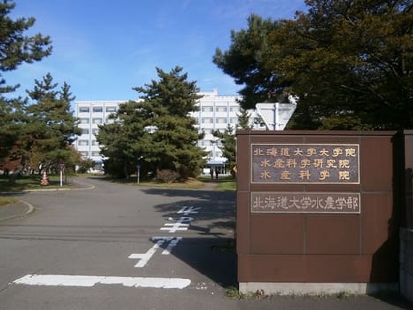 Naikan18 20240710000000 945x630