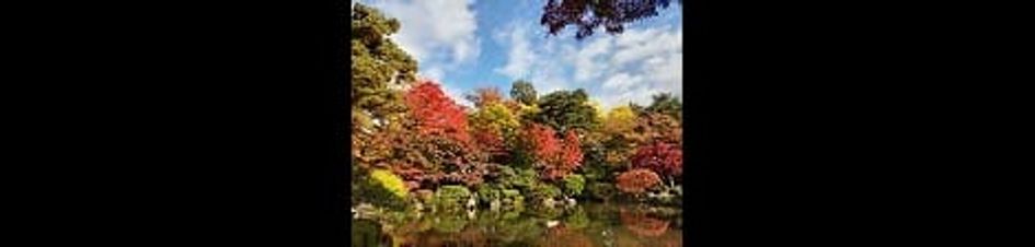 Naikan15 20260616000000 945x630