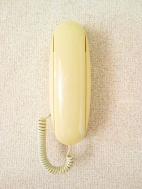 Naikan8 20210727000000 945x630