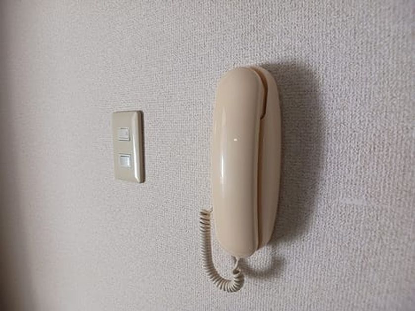 Naikan8 20261023000000 945x630